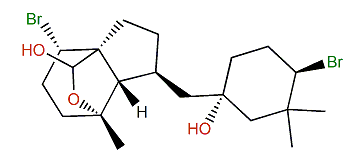 11-Deacetylpinnaterpene C